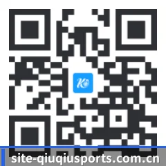 苹果版 iOS 二维码